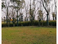 -春花秋色城市公园