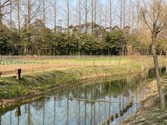 -前小桔亲子创意农场·草莓采摘·露营烧烤