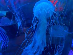 -横店影视城梦幻谷园区