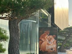 -罗红摄影艺术馆