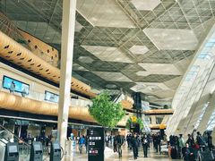 -盖达尔·阿利耶夫国际机场