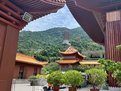 -深圳仙湖植物园