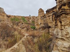 -元谋土林景区(物茂土林)