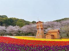 -苏州上方山国家森林公园