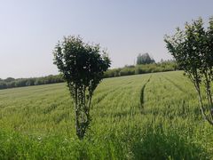 -嘉北郊野公园