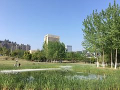 -滨湖塘西河公园