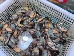 -旺角小渔村(幸福中路店)