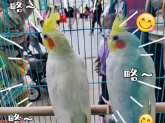 -万达广场(巴南店)