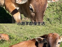 -天龙顶山地公园