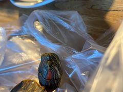 -VOYAGE COFFEE(北锣鼓巷店)