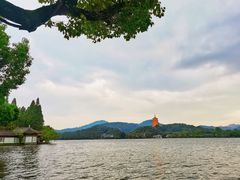 -杭州西湖柳莺里酒店·闻莺厅