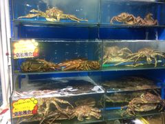 水产区-蚝专家(北滘店)