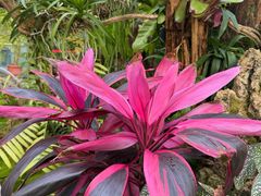 -北京植物园-展览温室