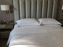 -圣爵菲斯大酒店(长沙世界之窗店)