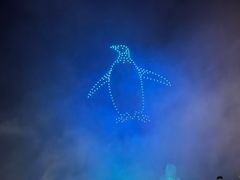 -帝企鹅自助餐厅•儿童岛•真企鹅(长隆企鹅酒店)