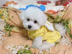 -哈尼爱宠·宠物生活会馆