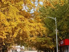 -辽宁大学(崇山校区)