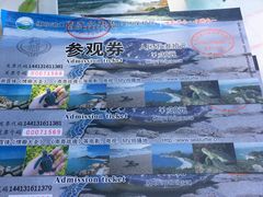 -广东惠东海龟国家级自然保护区