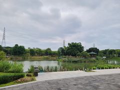 -王借岗森林公园