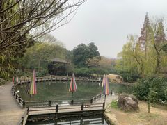-白马涧龙池景区