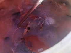 -阿尔法海鲜排档(爱琴海店)