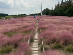 -嘉北郊野公园