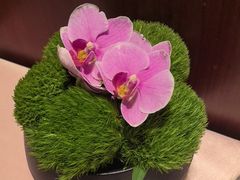 -江南灶中餐厅(南京香格里拉店)
