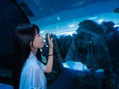 -乐从天佑城海洋馆