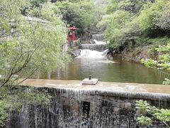 -沣峪口