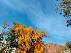 -清华大学玉泉医院