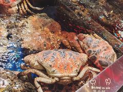 -盒马X会员店(王府井奥莱UP TOWN店)