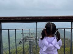 -紫金山山顶公园