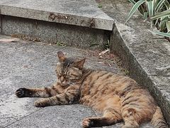 -晓港公园