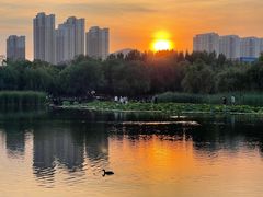 -前关湿地公园