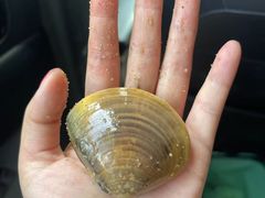 -北海金海湾红树林生态旅游区