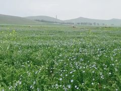 -石条山