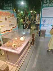 -酷嗒动物文化乐园(cutezoo西溪乐天城店)