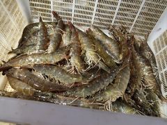 -岳各庄批发市场(西四环中路店)