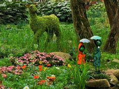 -上海共青森林公园