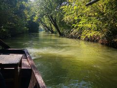 -西溪国家湿地公园