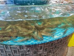 -蓝珊甄选海鲜自助·火锅大排档(近阿那亚店)