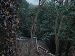 -韬光茶庵