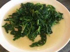 清炒茼蒿-南京东郊国宾馆