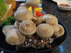 活体菌菇-捞王锅物料理(凯旋路店)
