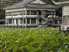 -荔湾湖公园