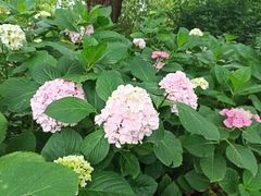 -共青国家森林公园-售票处