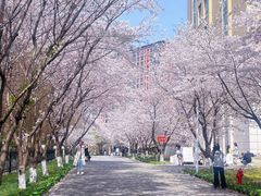 -南京明基医院