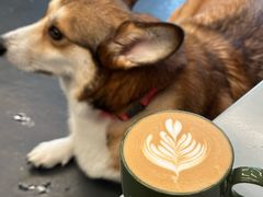 -Infica Coffee