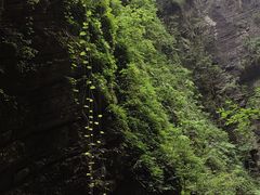 -蝶舞清江·恩施地心谷景区