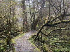 -燕子沟风景区